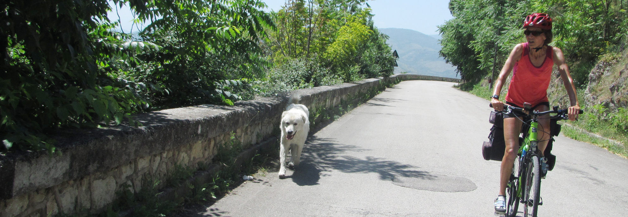 Der Freundschaftsweg Lazise, Rosenheim